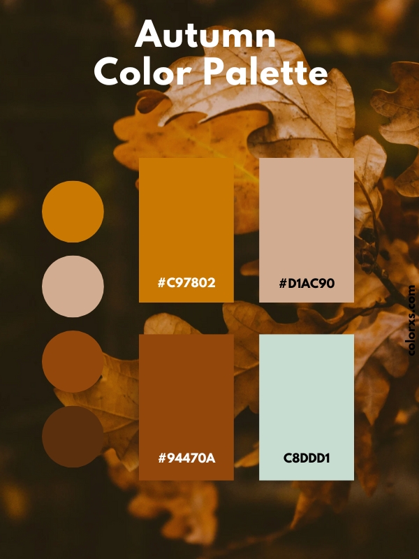 Nature Color Palettes And Color Combinations Colorxs