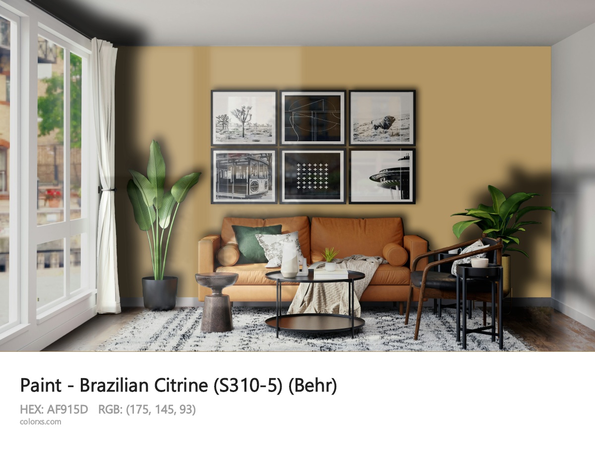 About Brazilian Citrine (S310-5) color - its meaning and example