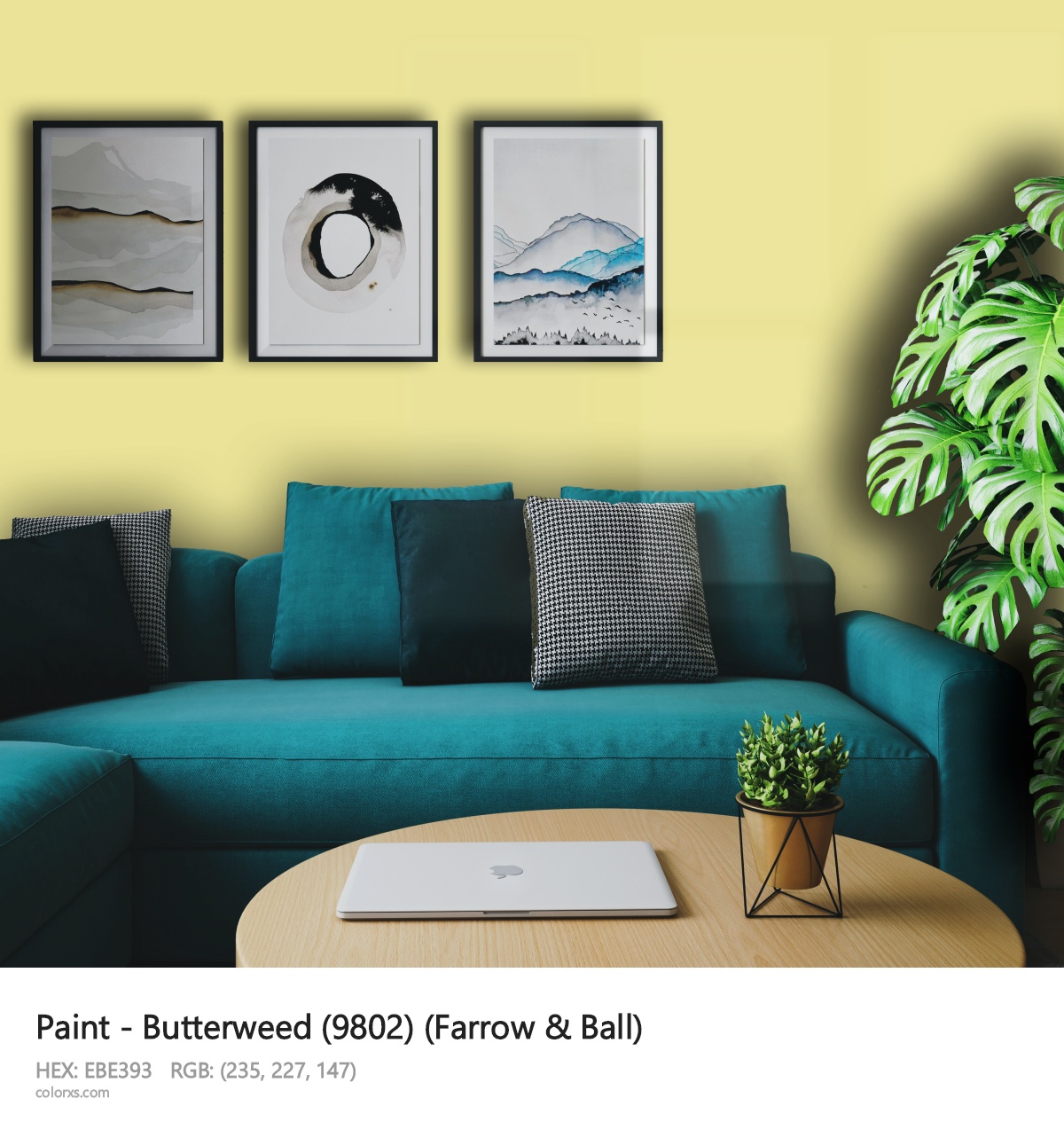 About Butterweed (9802) color - its meaning and example