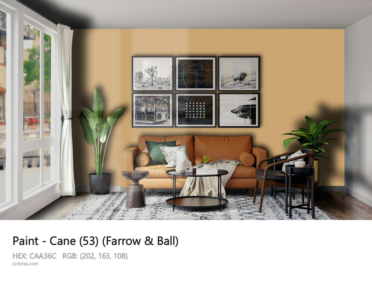 About Cane (53) color - its meaning and example