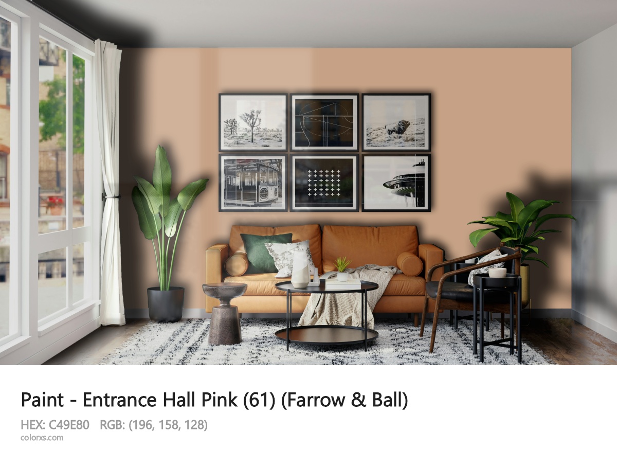 Farrow & Ball Entrance Hall Pink (61) Paint modern minimalist living room interior