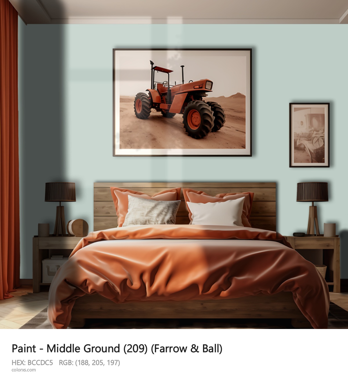 About Middle Ground (209) color - its meaning and example