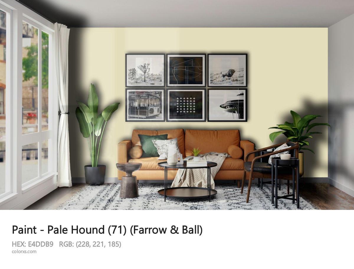 About Pale Hound (71) color - its meaning and example