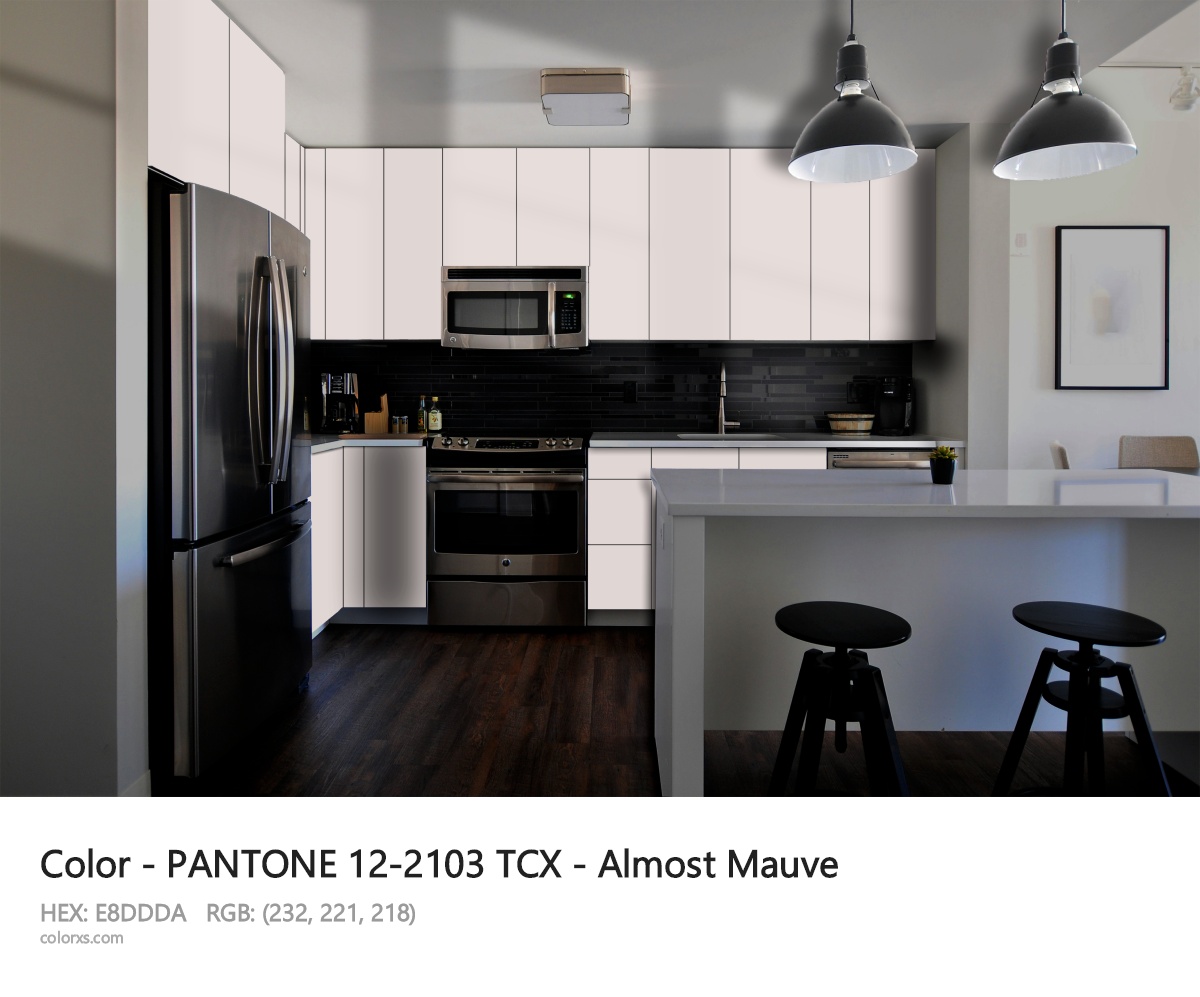 PANTONE 12-2103 TCX - Almost Mauve CMS modular kitchen design