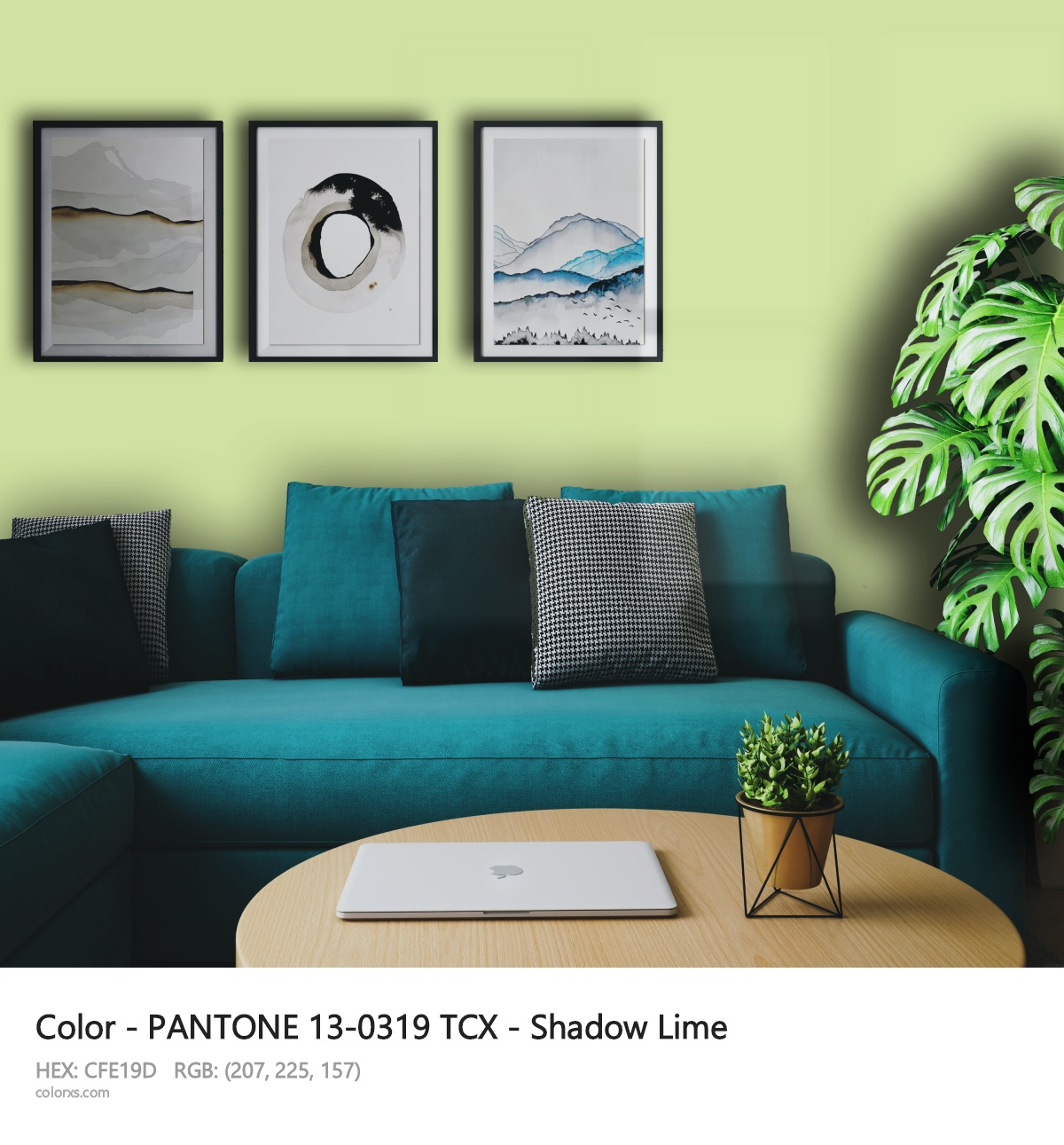 About PANTONE 13-0319 TCX - Shadow Lime color - its meaning and example
