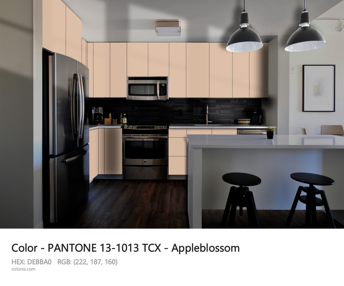 PANTONE 13-1013 TCX - Appleblossom CMS modular kitchen design