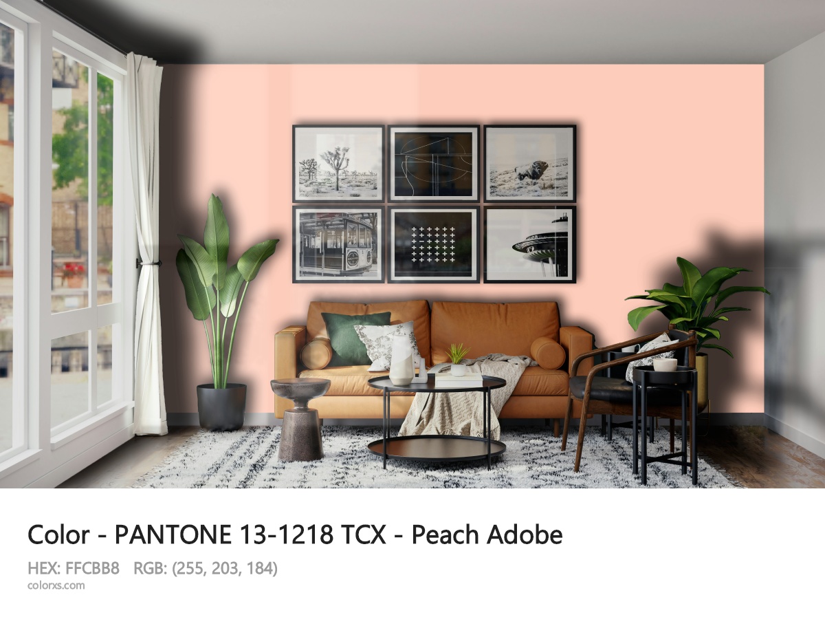 PANTONE 13-1218 TCX - Peach Adobe CMS modern minimalist living room interior
