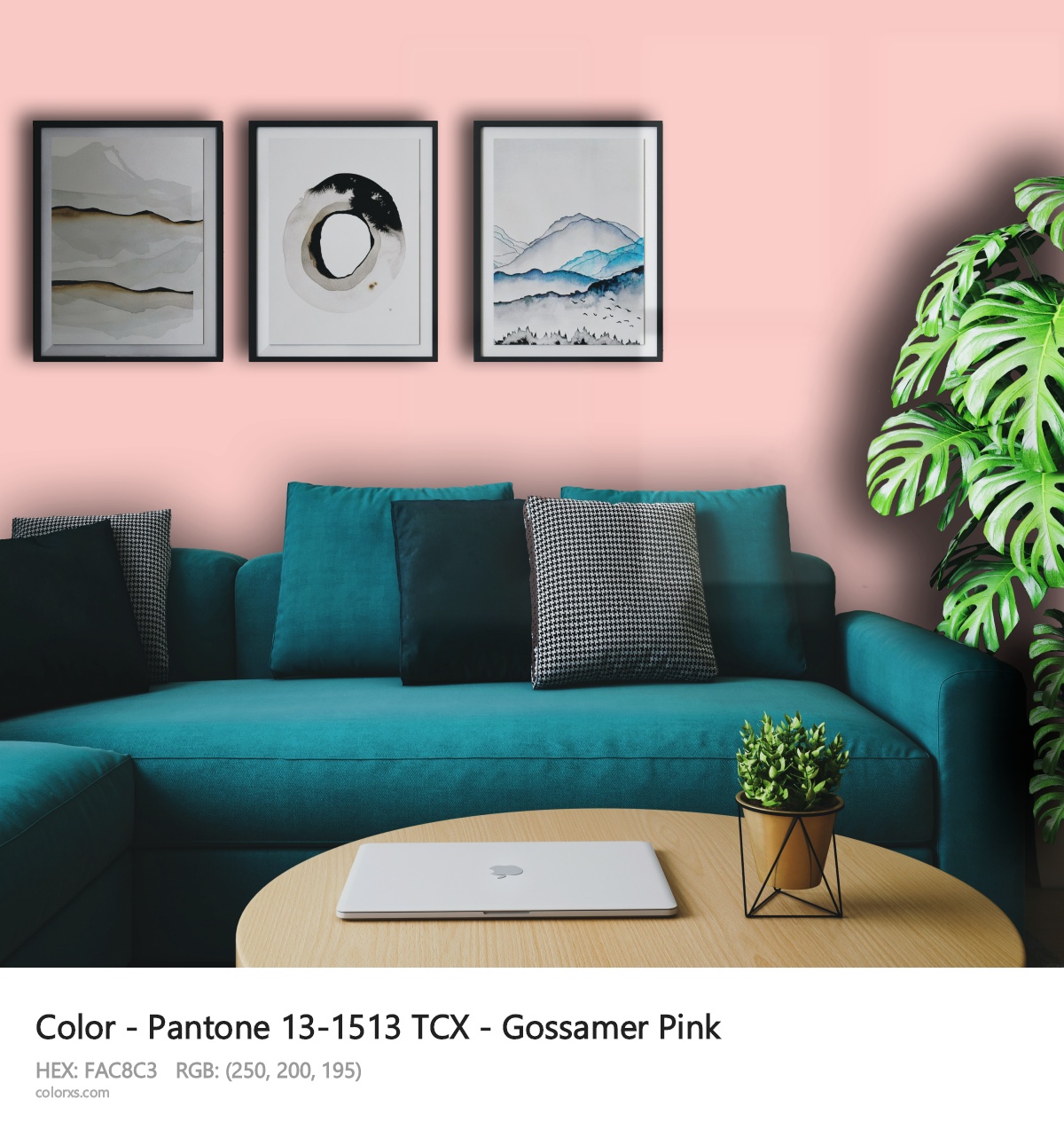 About Pantone 13-1513 TCX - Gossamer Pink color - its meaning and example