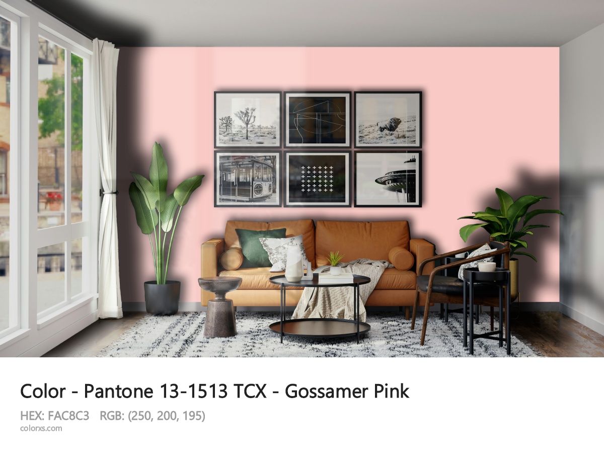 Pantone 13-1513 TCX - Gossamer Pink CMS modern minimalist living room interior