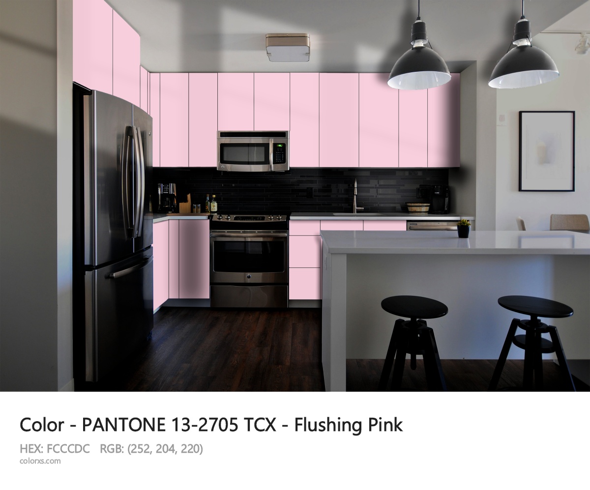PANTONE 13-2705 TCX - Flushing Pink CMS modular kitchen design