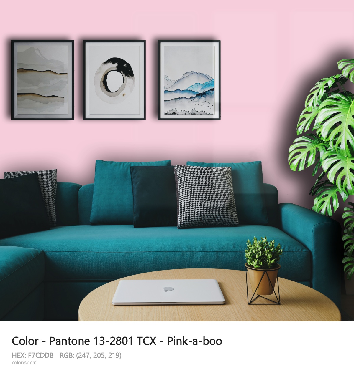 About Pantone 13-2801 TCX - Pink-a-boo color - its meaning and example