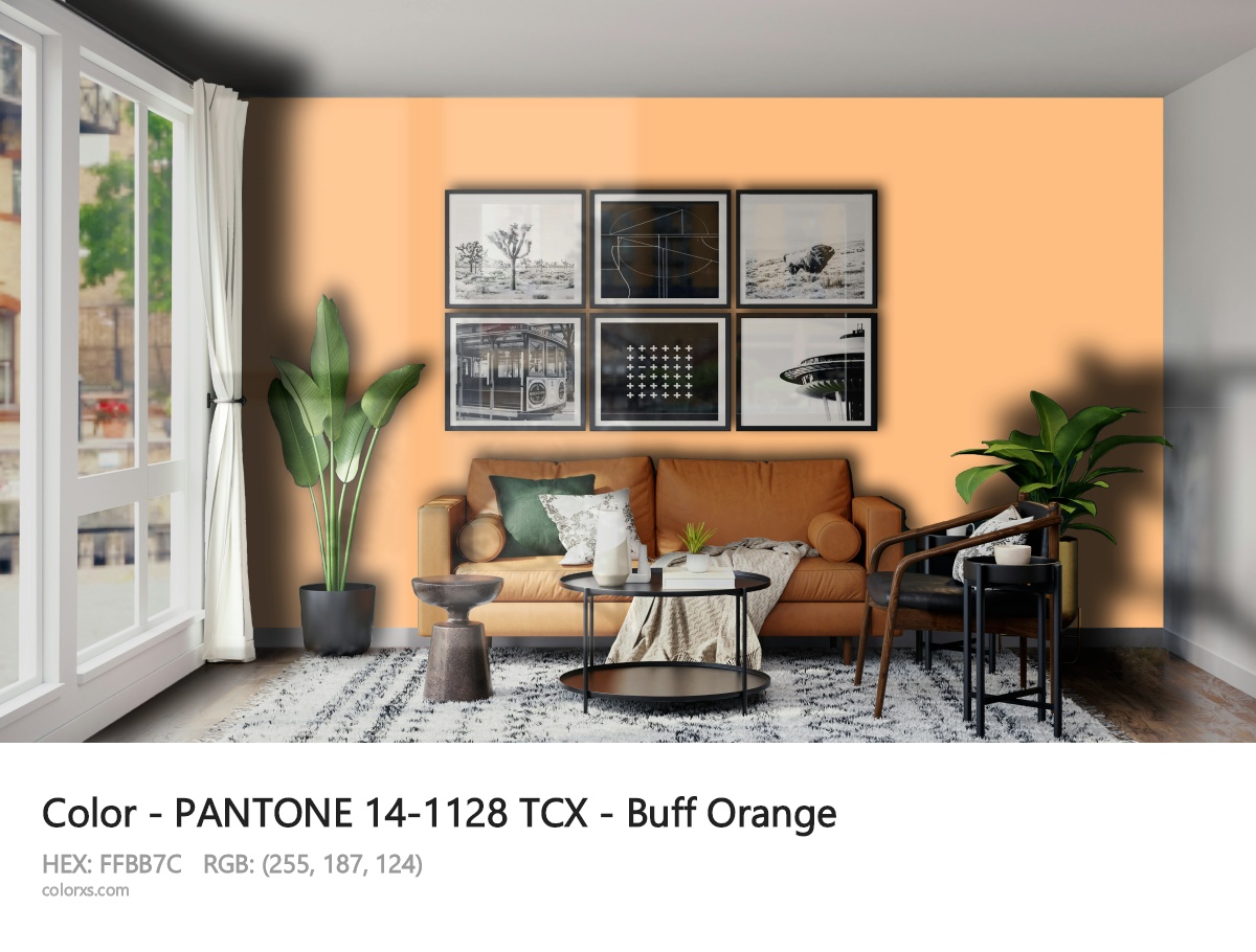 About PANTONE 14-1128 TCX - Buff Orange color - its meaning and example