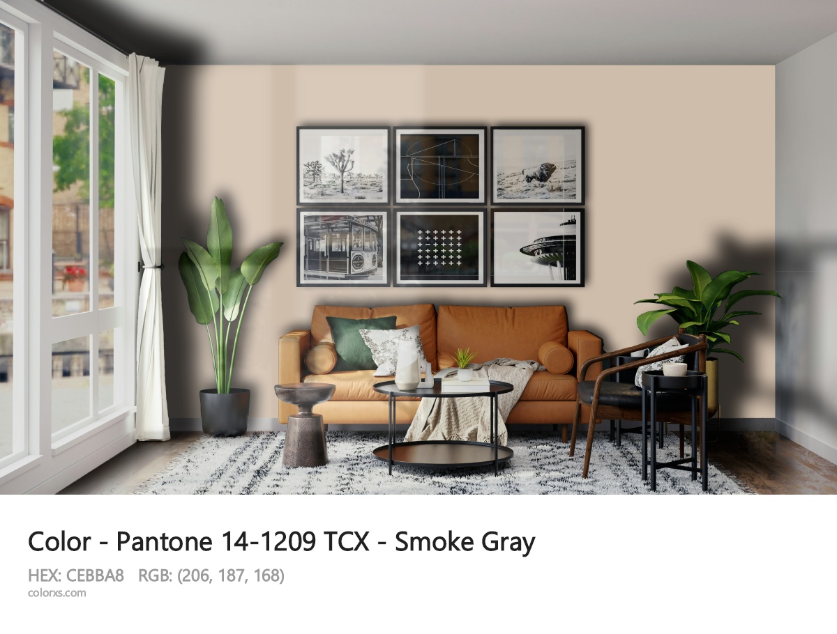 Pantone 14-1209 TCX - Smoke Gray CMS modern minimalist living room interior