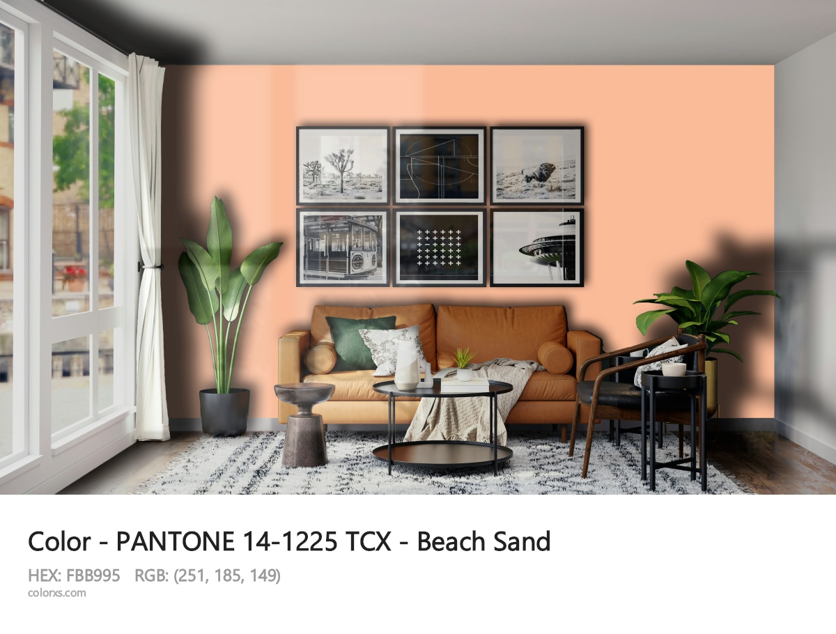 About PANTONE 14-1225 TCX - Beach Sand color - its meaning and example
