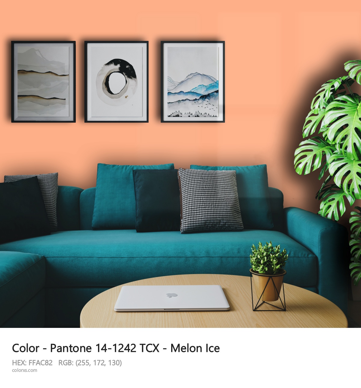 About Pantone 14-1242 TCX - Melon Ice color - its meaning and example