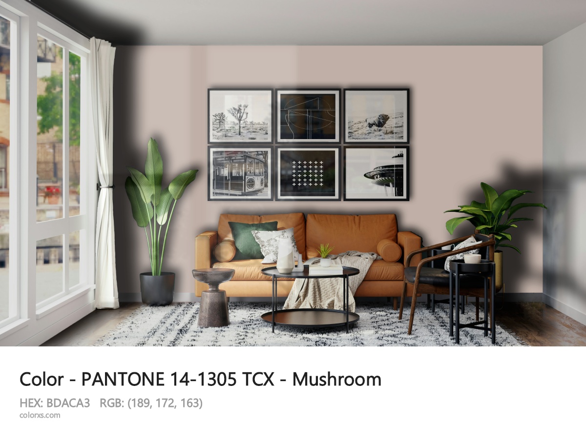 PANTONE 14-1305 TCX - Mushroom CMS modern minimalist living room interior