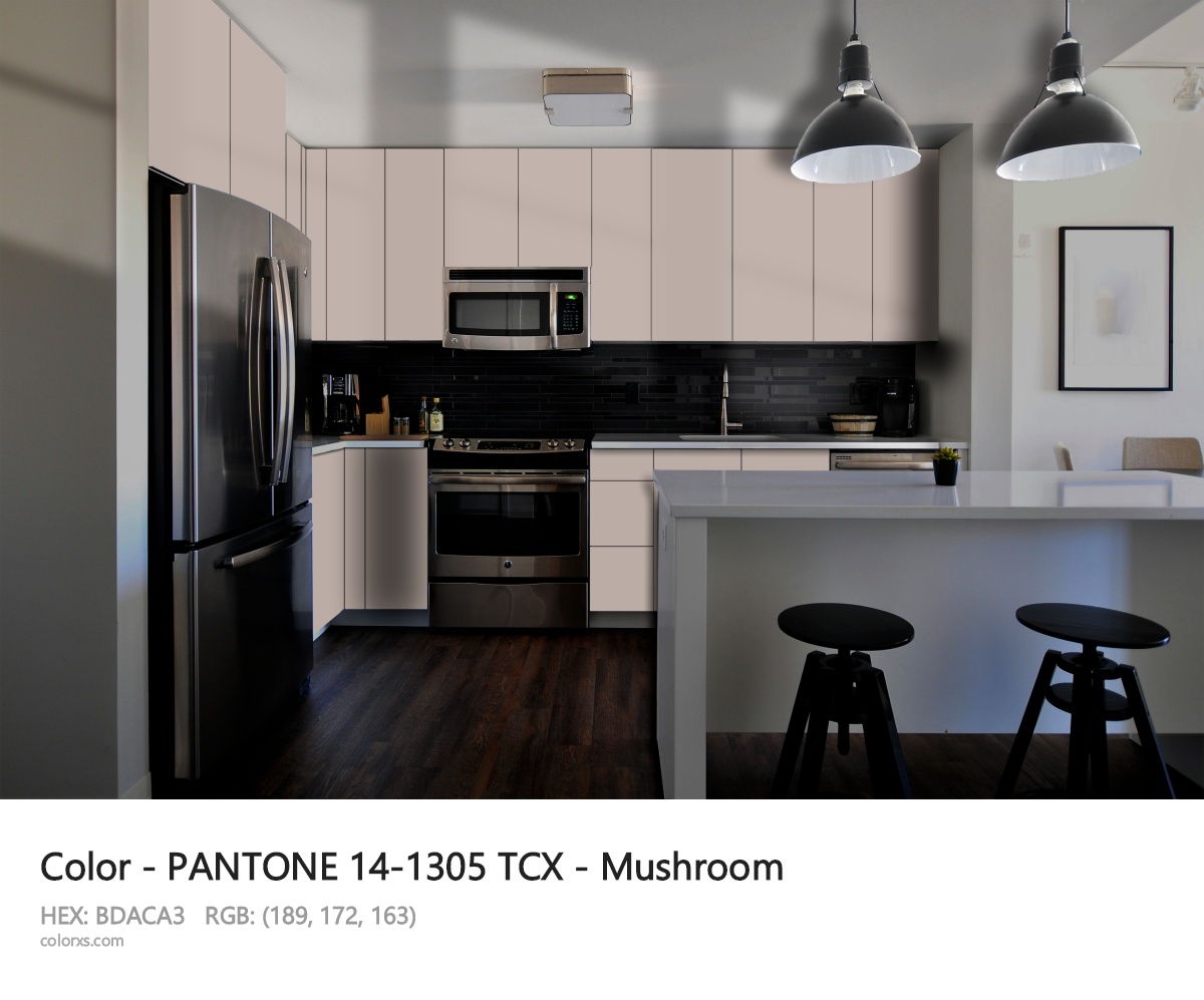 PANTONE 14-1305 TCX - Mushroom CMS modular kitchen design