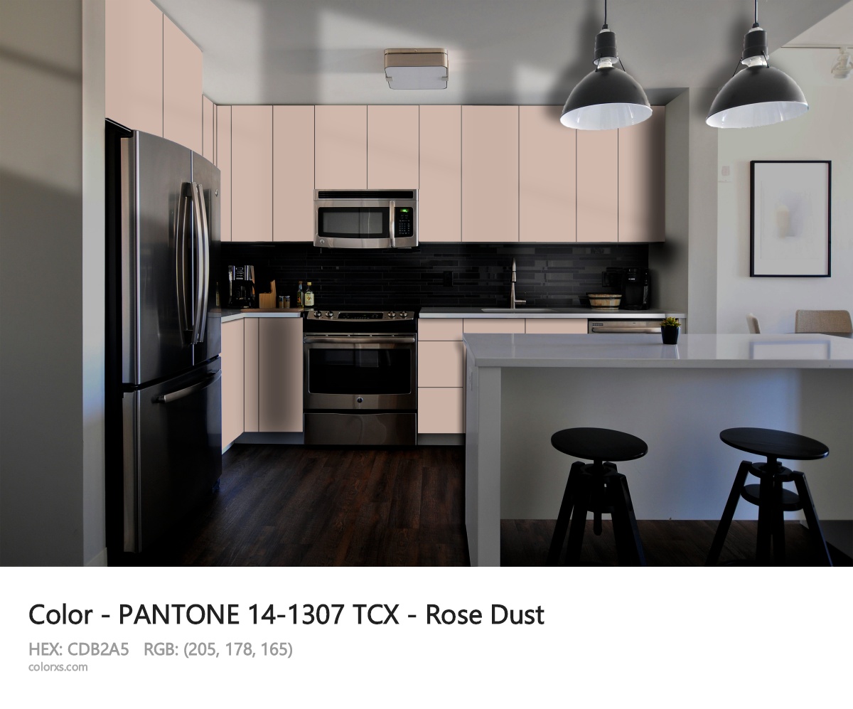 PANTONE 14-1307 TCX - Rose Dust CMS modular kitchen design