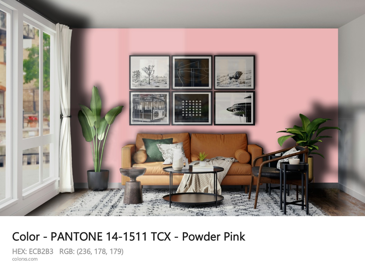 About PANTONE 14-1511 TCX - Powder Pink color - its meaning and example