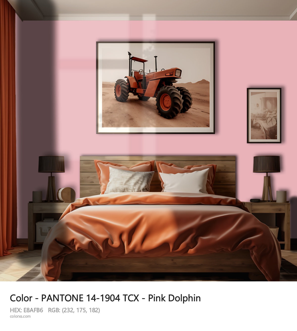 About PANTONE 14-1904 TCX - Pink Dolphin color - its meaning and example