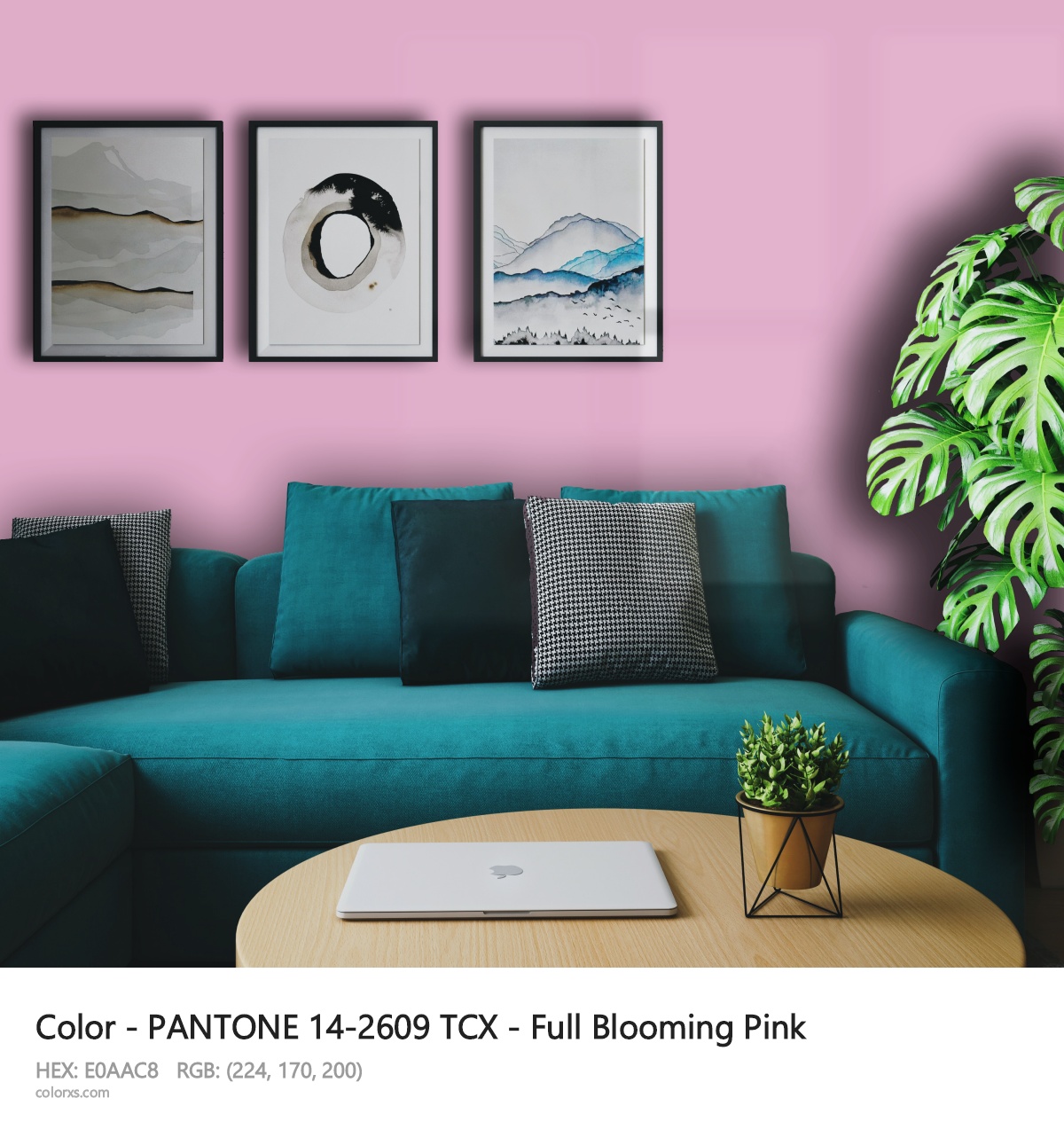 About PANTONE 14-2609 TCX - Full Blooming Pink color - its meaning and example