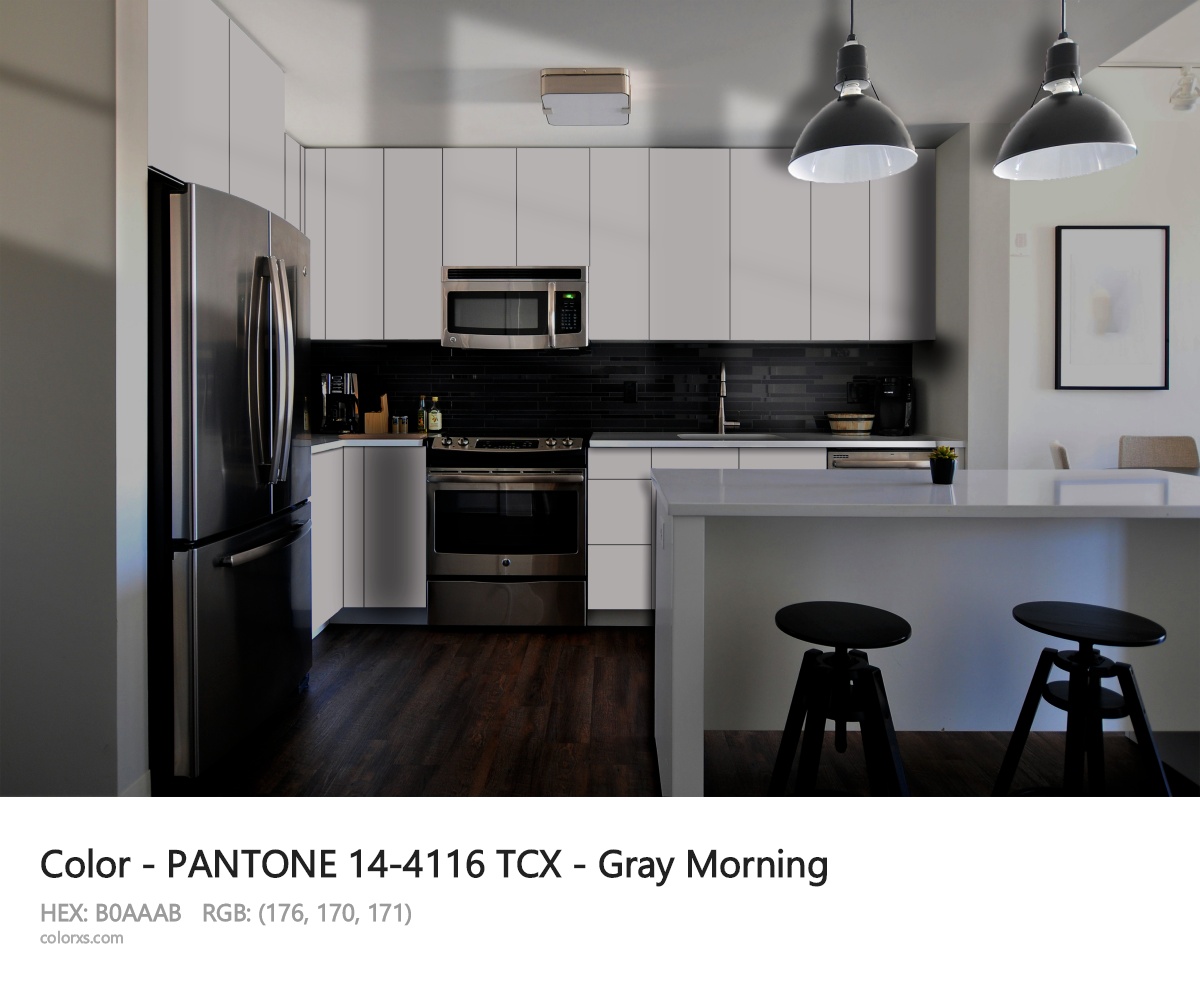 PANTONE 14-4116 TCX - Gray Morning CMS modular kitchen design
