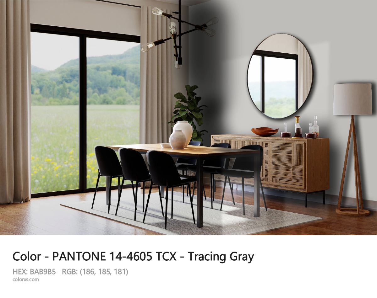 PANTONE 14-4605 TCX - Tracing Gray CMS dining room design