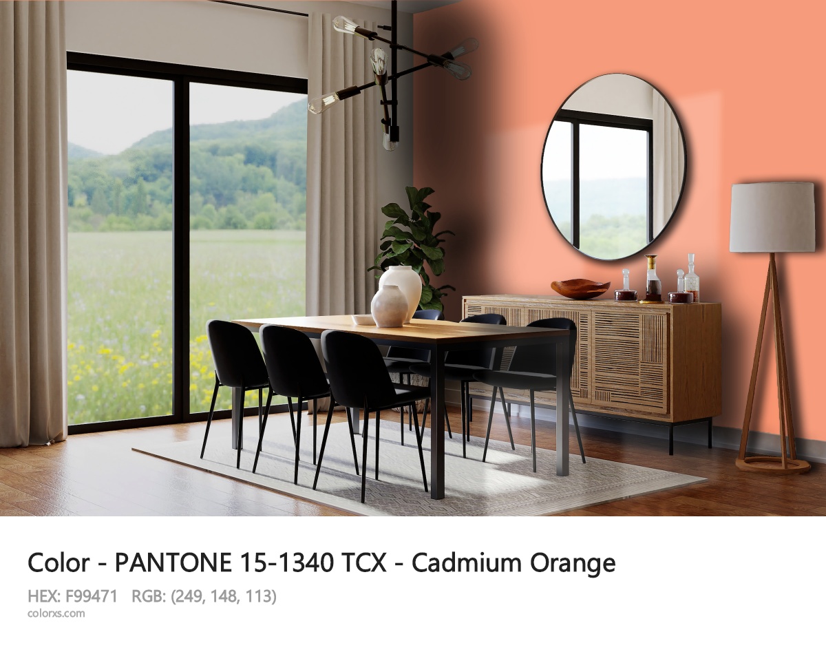PANTONE 15-1340 TCX - Cadmium Orange CMS dining room design