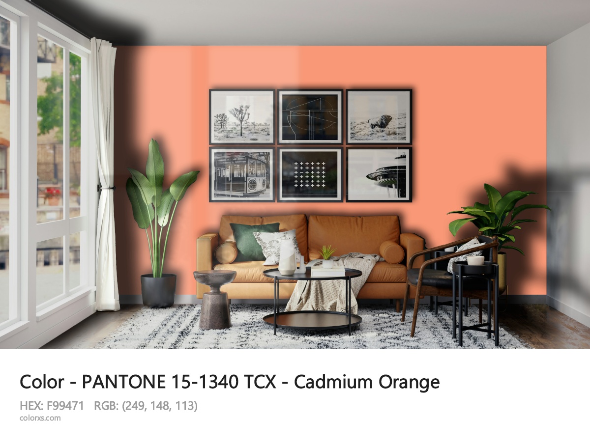 PANTONE 15-1340 TCX - Cadmium Orange CMS modern minimalist living room interior