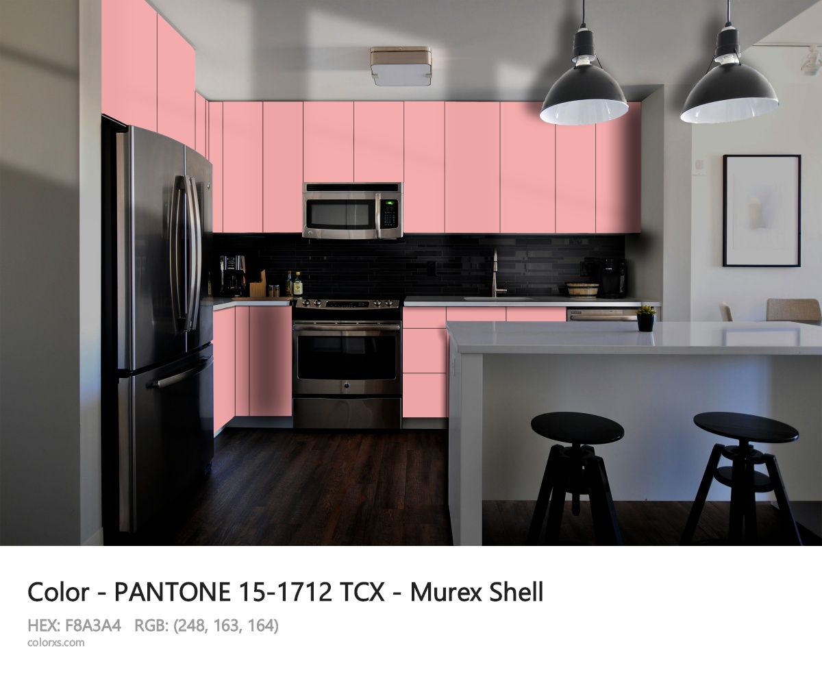 PANTONE 15-1712 TCX - Murex Shell CMS modular kitchen design