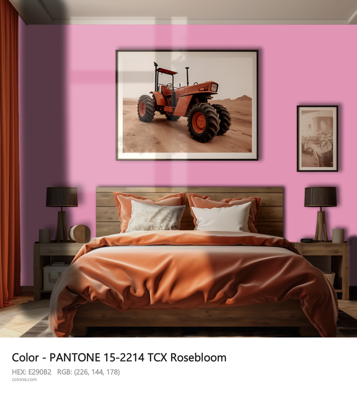 PANTONE 15-2214 TCX Rosebloom CMS vintage style bedroom interior