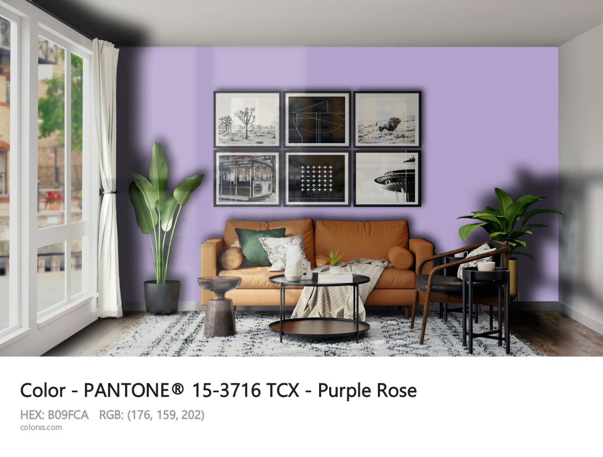 PANTONE® 15-3716 TCX - Purple Rose CMS modern minimalist living room interior