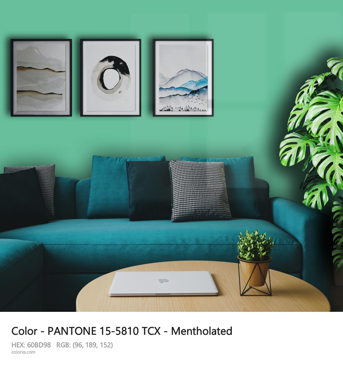 About PANTONE 15-5810 TCX - Mentholated color - its meaning and example