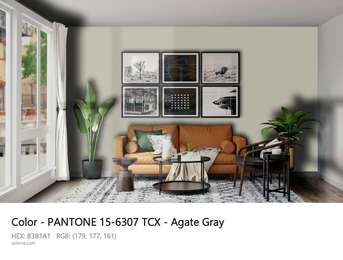 About PANTONE 15-6307 TCX - Agate Gray color - its meaning and example
