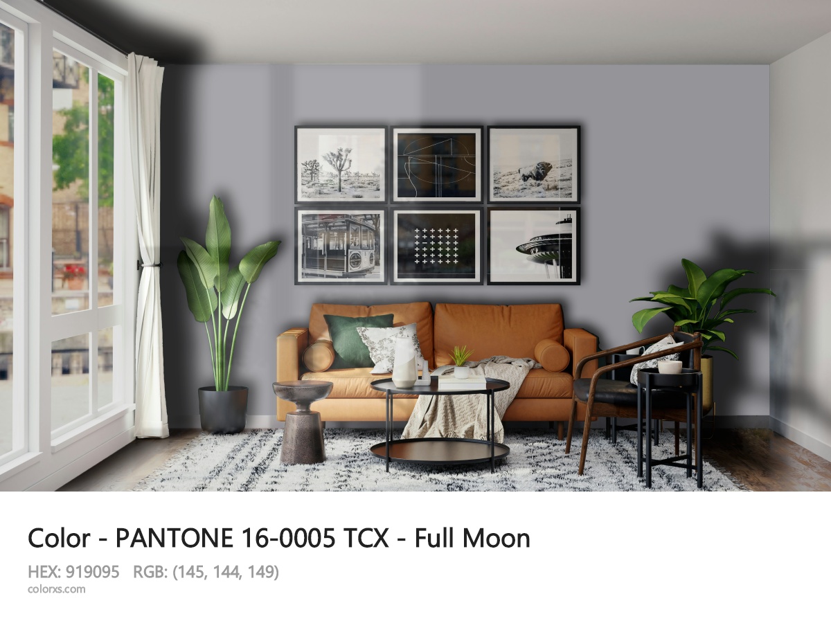 About PANTONE 16-0005 TCX - Full Moon color - its meaning and example