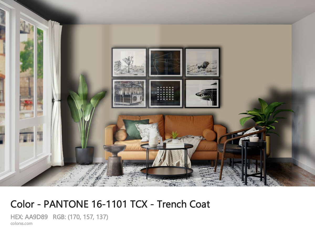 About PANTONE 16-1101 TCX - Trench Coat color - its meaning and example