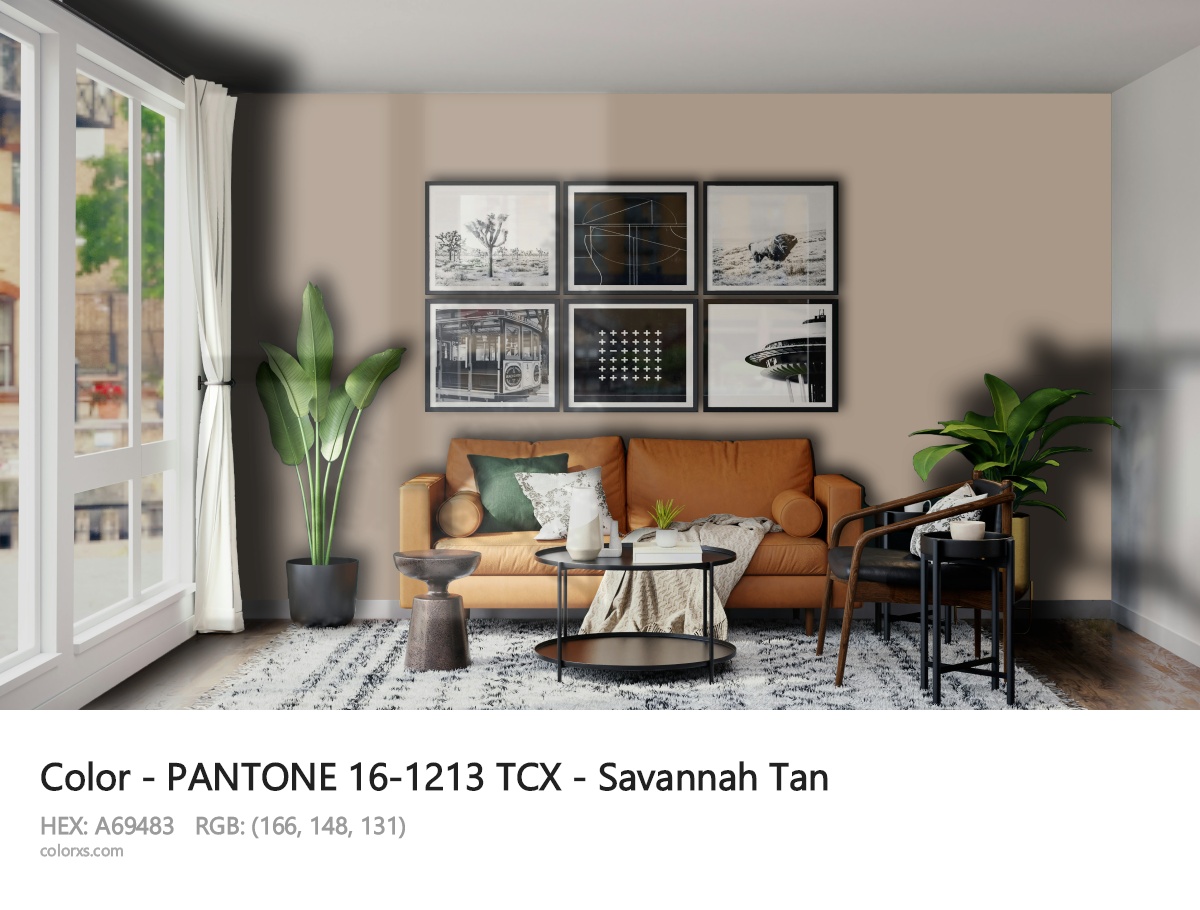 About PANTONE 16-1213 TCX - Savannah Tan color - its meaning and example