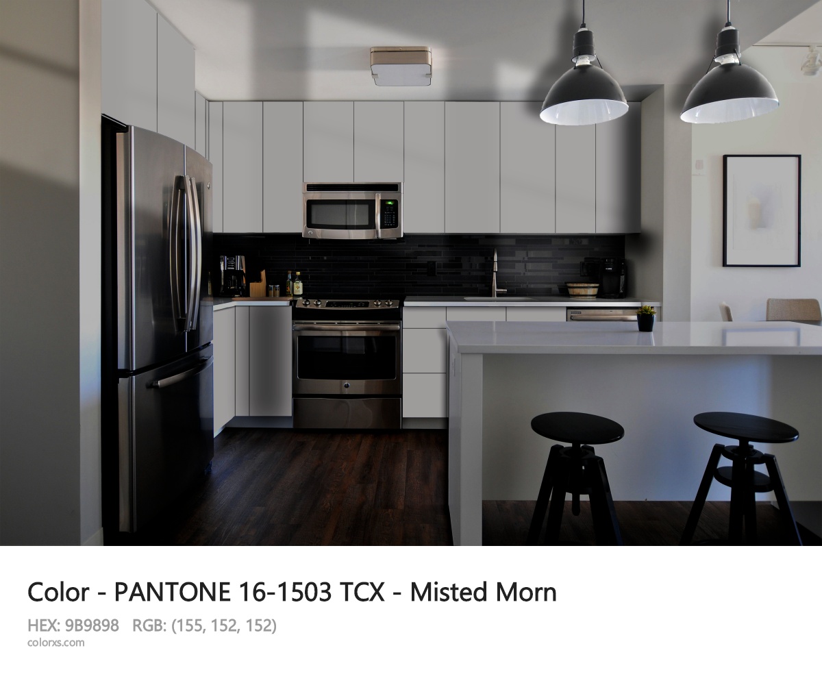 PANTONE 16-1503 TCX - Misted Morn CMS modular kitchen design