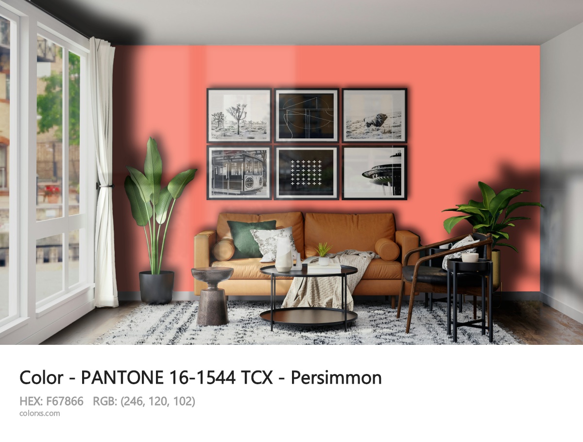 About PANTONE 16-1544 TCX - Persimmon color - its meaning and example