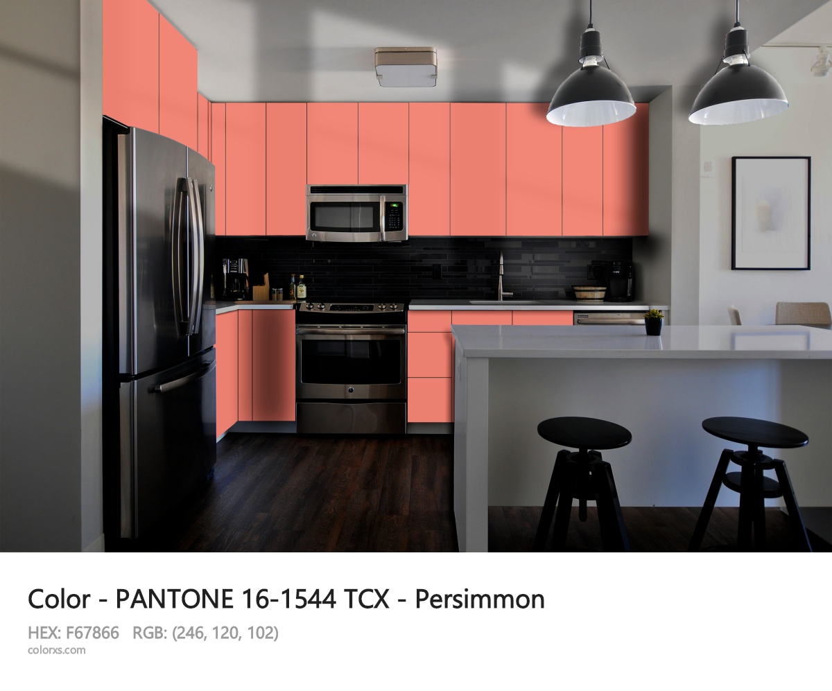 PANTONE 16-1544 TCX - Persimmon CMS modular kitchen design