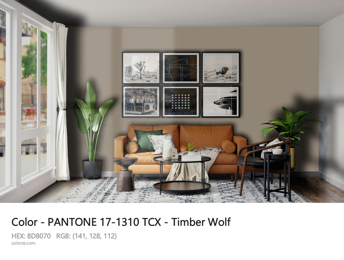 PANTONE 17-1310 TCX - Timber Wolf CMS modern minimalist living room interior