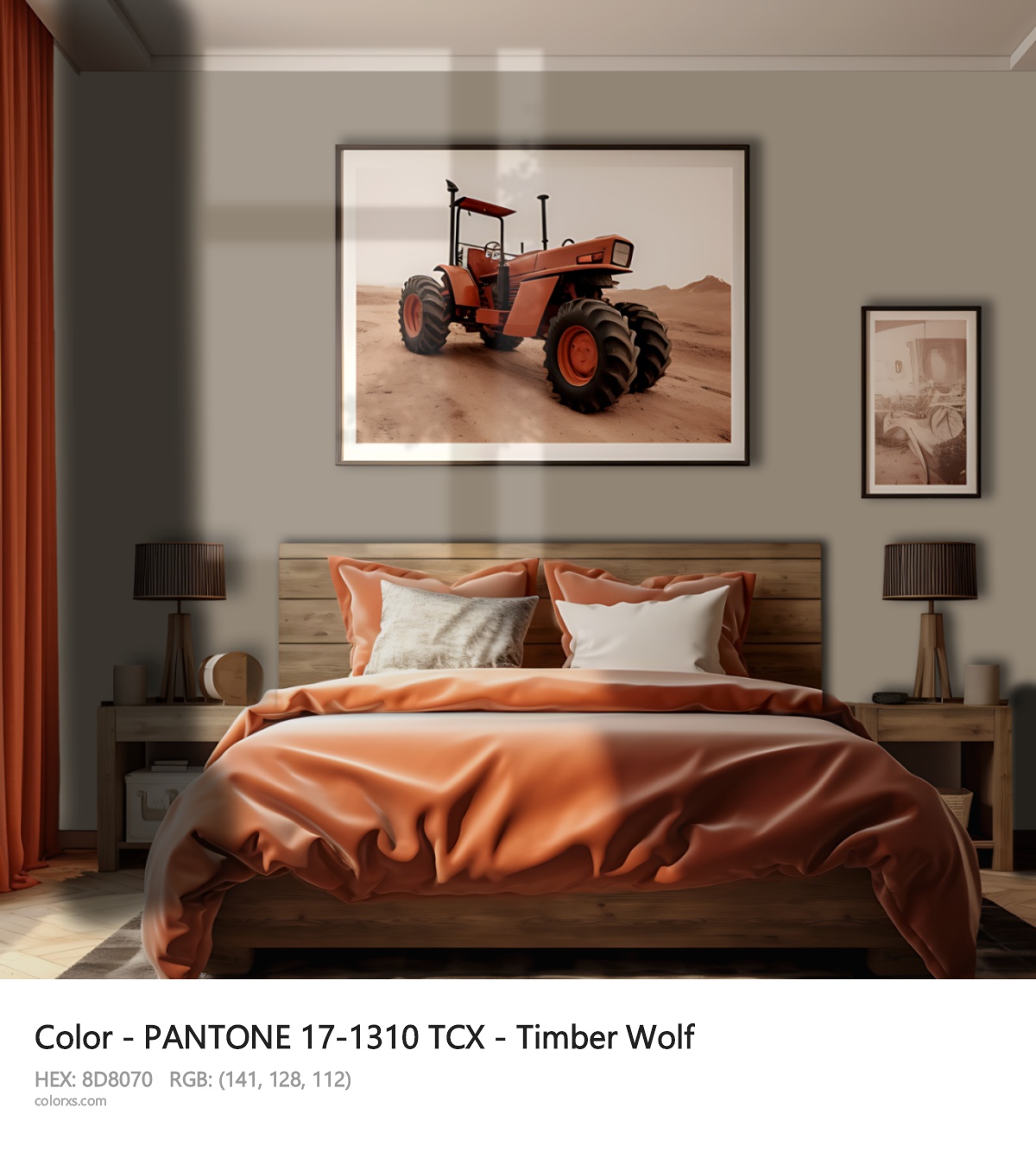 About PANTONE 17-1310 TCX - Timber Wolf color - its meaning and example
