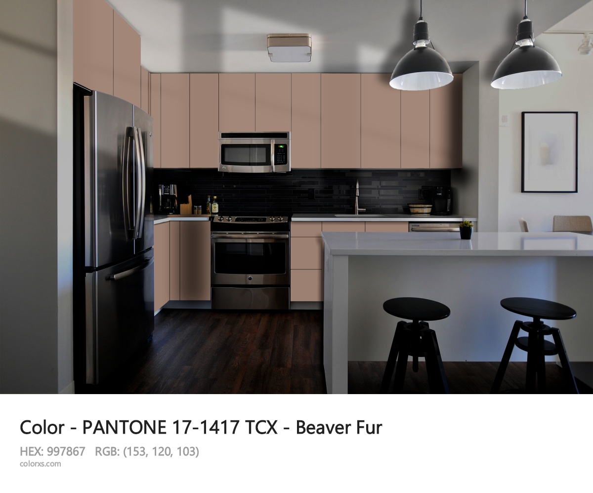 PANTONE 17-1417 TCX - Beaver Fur CMS modular kitchen design