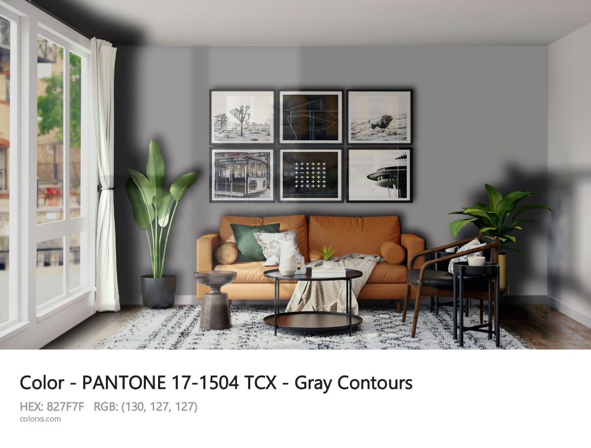 PANTONE 17-1504 TCX - Gray Contours CMS modern minimalist living room interior