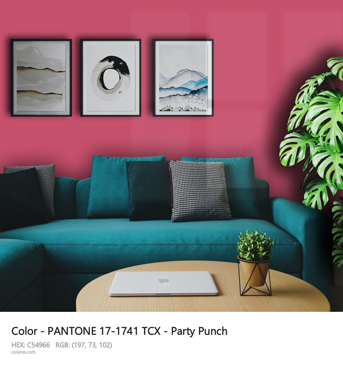 About PANTONE 17-1741 TCX - Party Punch color - its meaning and example