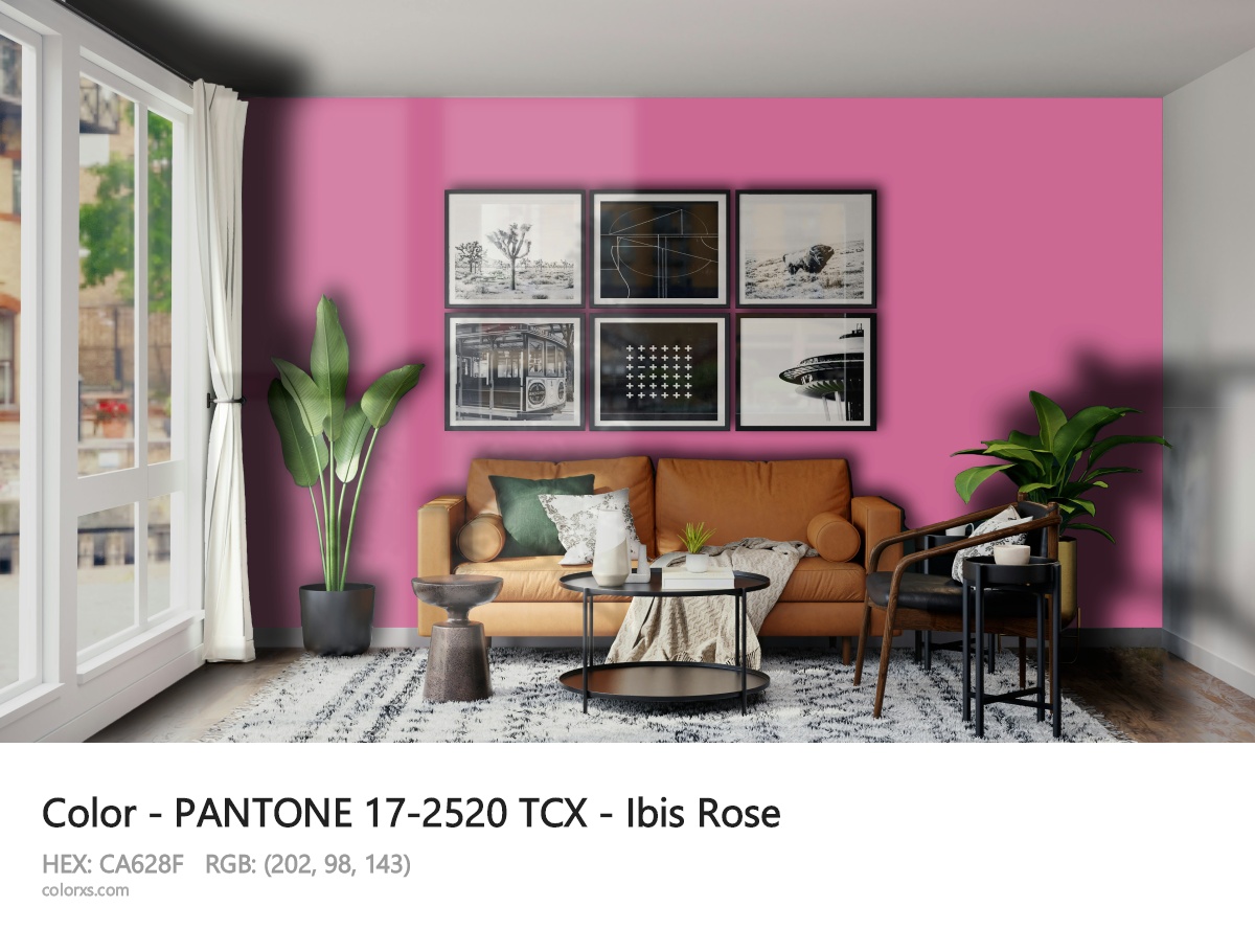 PANTONE 17-2520 TCX - Ibis Rose CMS modern minimalist living room interior