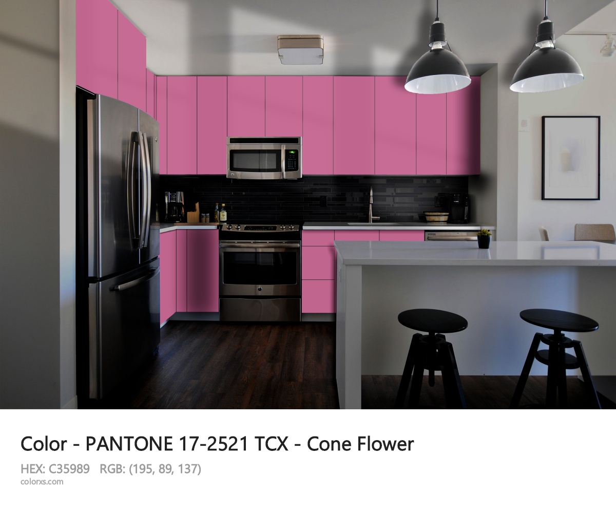 PANTONE 17-2521 TCX - Cone Flower CMS modular kitchen design