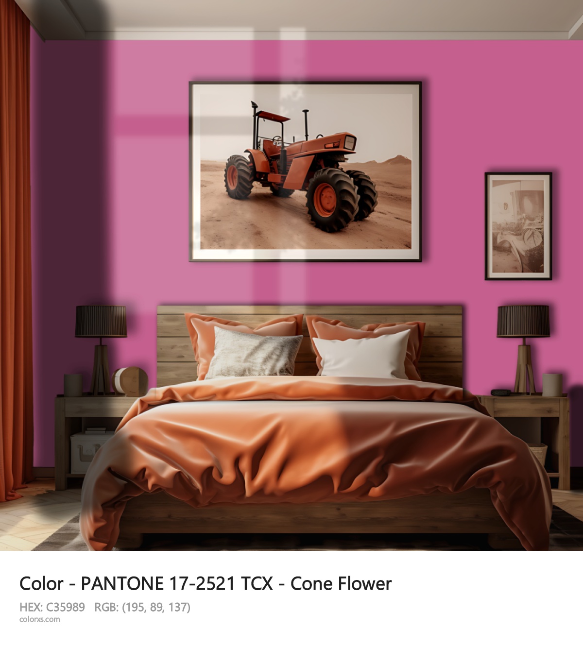About PANTONE 17-2521 TCX - Cone Flower color - its meaning and example