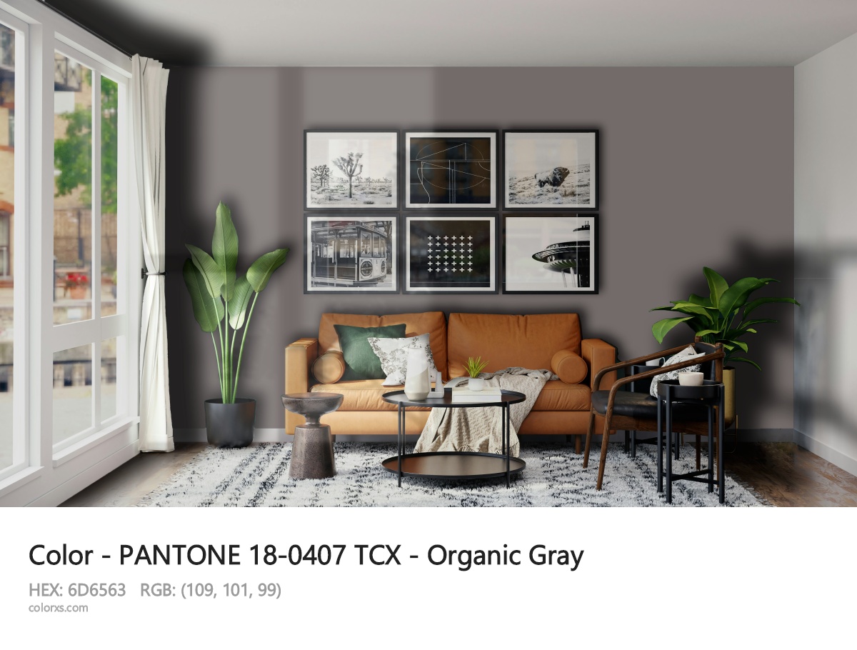 About PANTONE 18-0407 TCX - Organic Gray color - its meaning and example