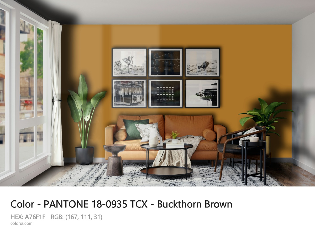 About PANTONE 18-0935 TCX - Buckthorn Brown color - its meaning and example